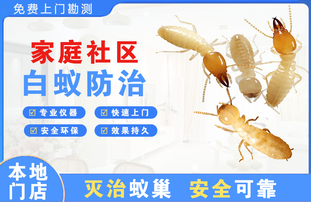 河池家庭社区白蚁防治