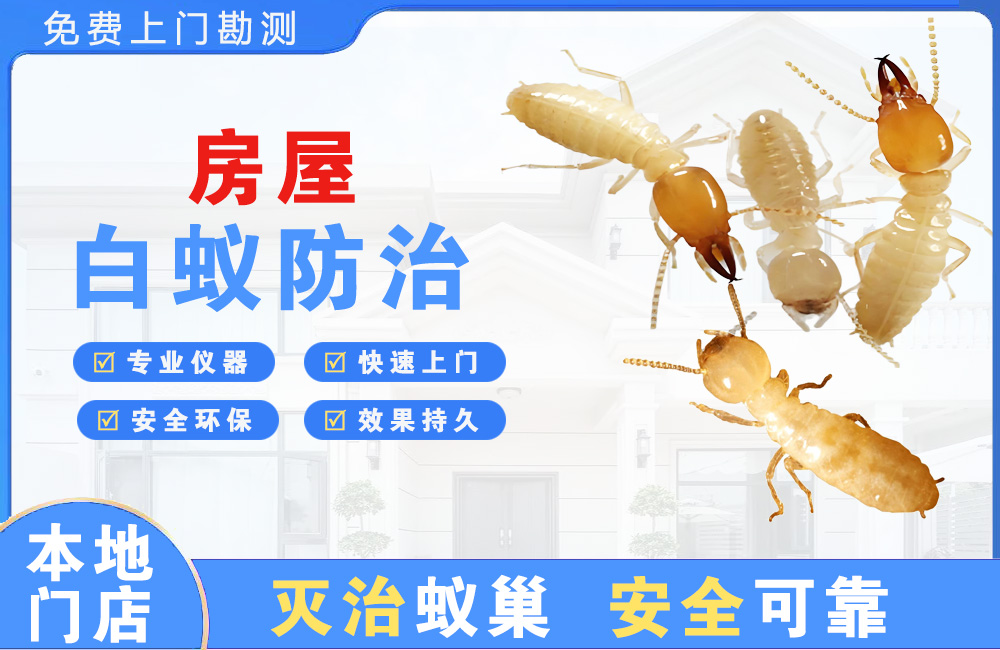 河池房屋白蚁防治