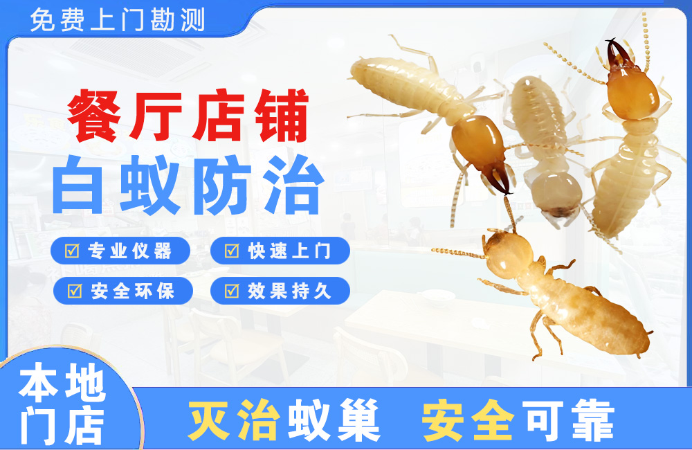 河池餐厅店铺白蚁防治